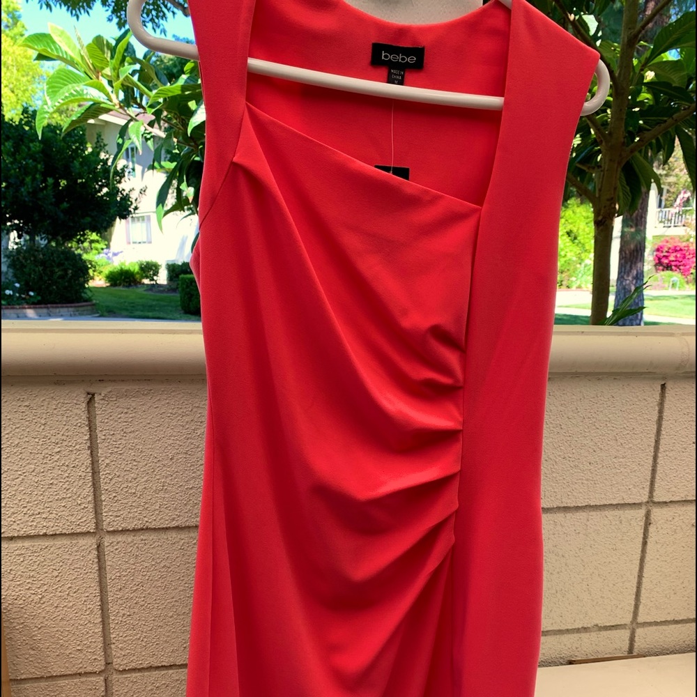 Beautiful Bebe  dresses for a women.